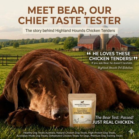 Why Bear Can't Get Enough of Our Chicken Tenders: A Healthy Dog Treat Made in Australia