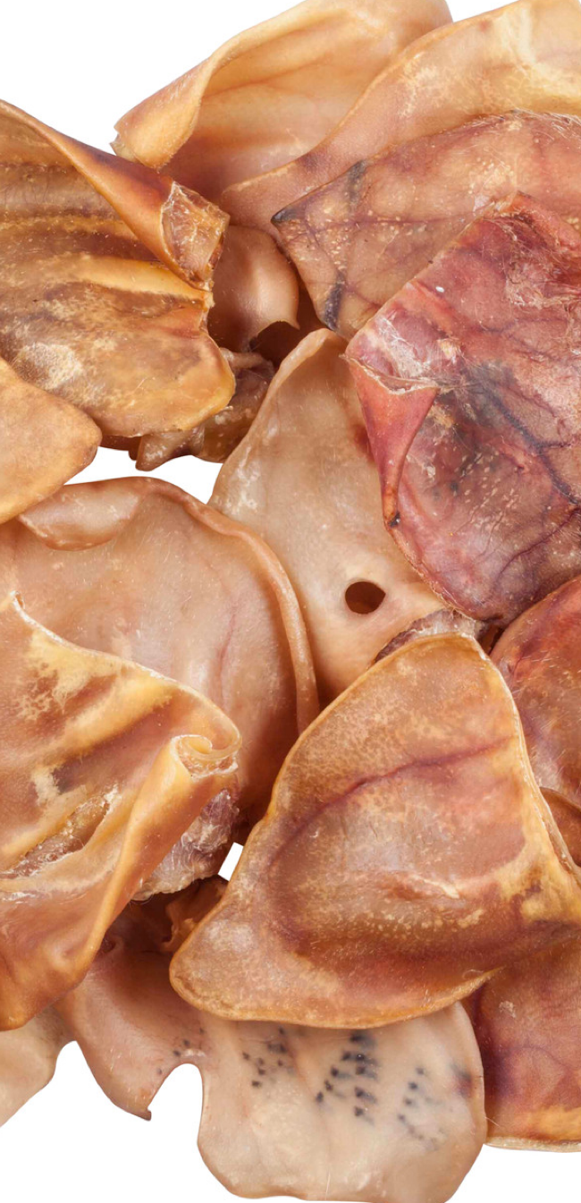 Pig Ears (5)